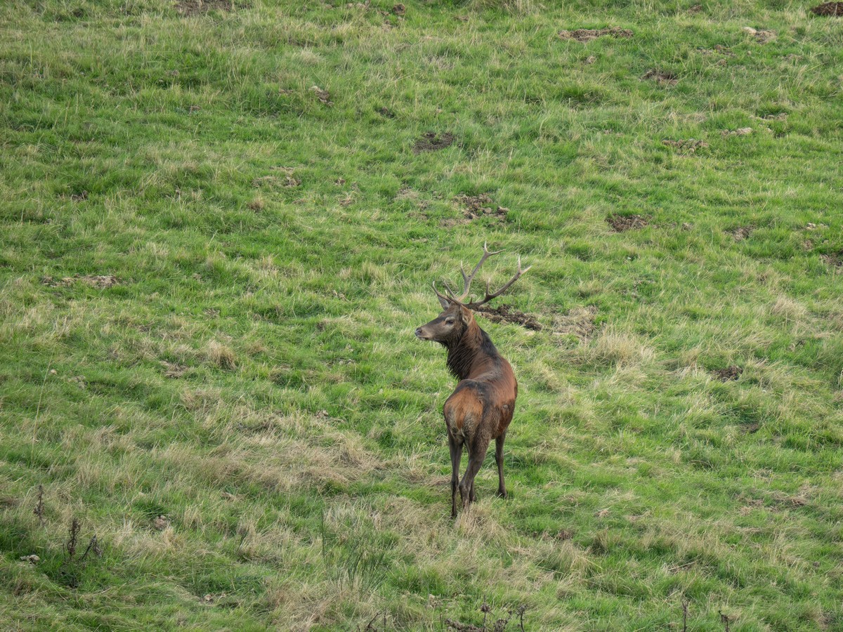 07102025-07 10 25 (5).jpg